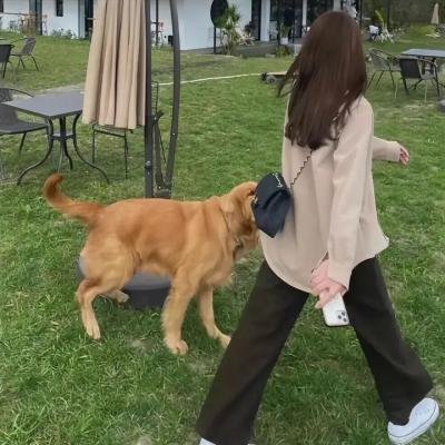 智慧风暴
